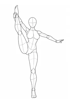 Standing leg lift holding the ankle at shoulder height